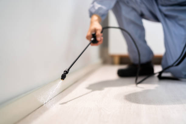 Licensed Termite Control service in Jackson Parish County, LA - Nex Pest Control