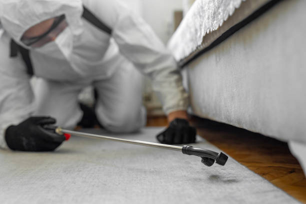 Professional Termite Control technician working in Jackson Parish County, LA